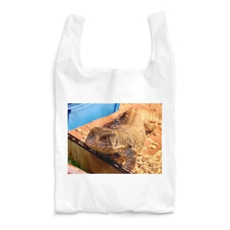 オオトカゲ　こんぶの笑顔 Reusable Bag
