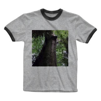 樹の生命力 Ringer T-Shirt