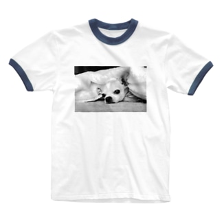 モノクロチワワ（アンニュイ1） Ringer T-Shirt