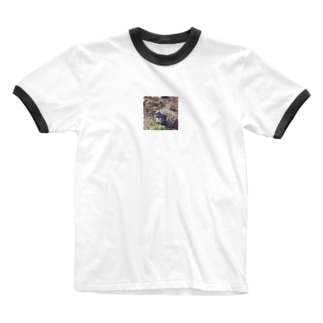 セントラルパークのリス Ringer T-Shirt