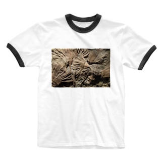 カクトクリヌス Ringer T-Shirt