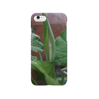 クワズイモの花 Smartphone Case
