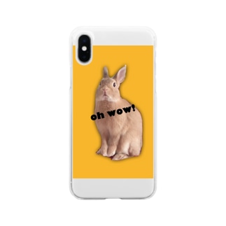 RAVI the rabbit Soft Clear Smartphone Case
