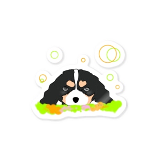 癒し犬 キャバリア　トライカラー Sticker