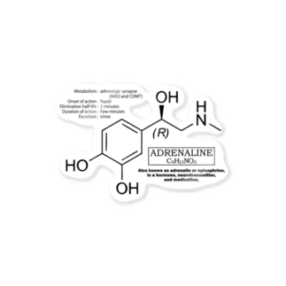 アドレナリン(ノルアドレナリン・ドーパミンの仲間：化学：神経伝達物質)：化学構造・分子式シリーズ Sticker
