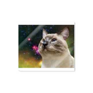 宇宙猫あずきくん Sticker