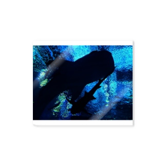 ジンベエザメの影 Sticker
