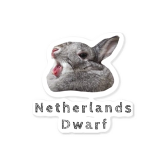 ネザーランドドワーフウサギ Sticker