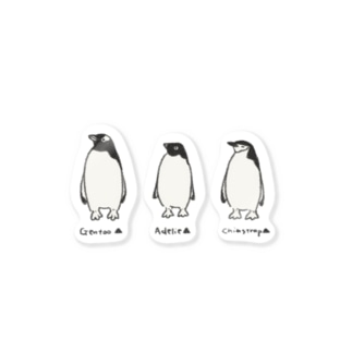 ピゴセリス属のペンギンたち(白黒) Sticker