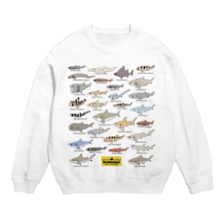 Sharks30(color)1.1 Sweat
