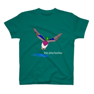 Fly Duck Regular Fit T-Shirt