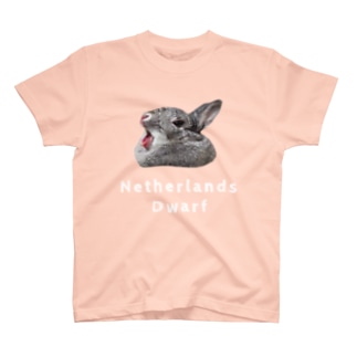 ネザーランドドワーフウサギ Regular Fit T-Shirt