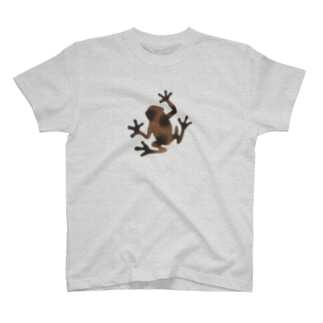 カエル Tシャツの通販 Suzuri スズリ カエル Tシャツの通販 Suzuri スズリ