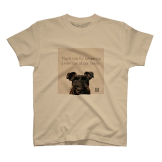 ドアップKURO シュナウザー 黒シュナ 黒い犬 Regular Fit T-Shirt