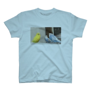 インコ Regular Fit T-Shirt