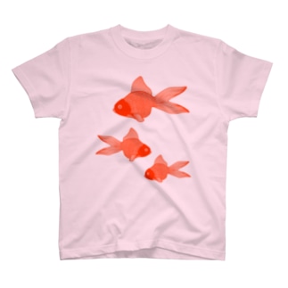 金魚３匹 Regular Fit T-Shirt