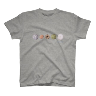 ウニ殻5個 T-Shirt