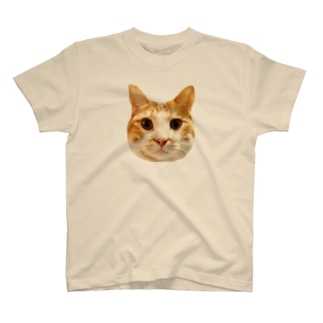 元気がでる猫みーたろう Regular Fit T-Shirt
