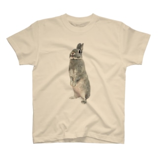 キョトンとするウサギ Regular Fit T-Shirt
