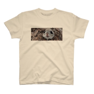 【北の動物園】笑顔の力を感じるサロベツ原野でエゾモモンガ Regular Fit T-Shirt