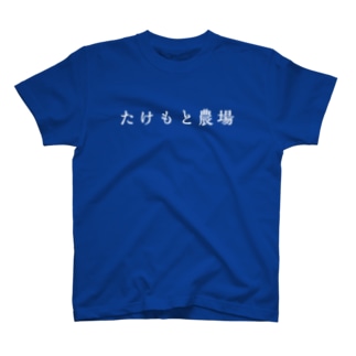 青いTシャツ Regular Fit T-Shirt
