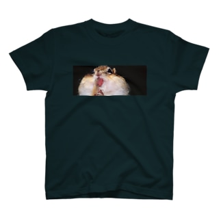 【笑顔の時間】サロベツ原野でエゾシマリス喜色満面 Regular Fit T-Shirt