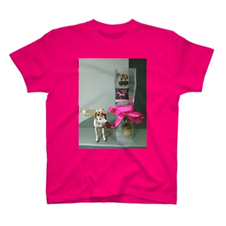馬 スタンダードtシャツの通販 11ページ目 Suzuri スズリ 馬 スタンダードtシャツの通販 11ページ目 Suzuri スズリ