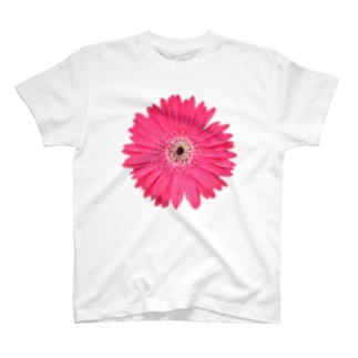 🙇‍♂️❤️【#013】Gerbera Single PINK（2022年6月11日）☆☆A2ランク Regular Fit T-Shirt