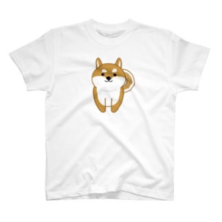 柴犬の裏表 Regular Fit T-Shirt