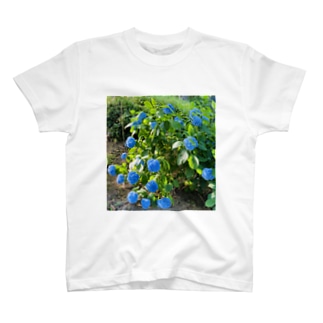 hydrangea Regular Fit T-Shirt