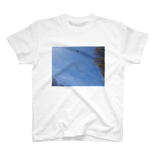 鳥と青空Tシャツ Regular Fit T-Shirt