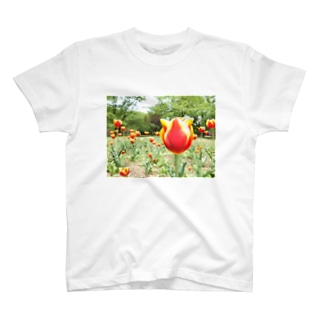  Tulip Regular Fit T-Shirt