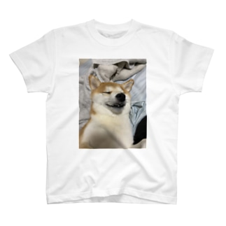 まどろみ犬 Regular Fit T-Shirt
