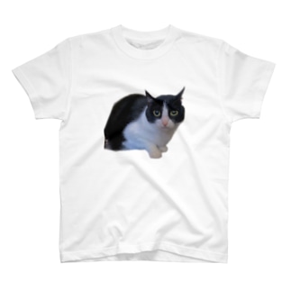 うちのハチワレ猫ちゃん Regular Fit T-Shirt