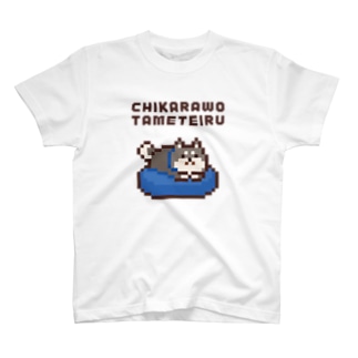 CHIKARAWO TAMETEIRU T-Shirt