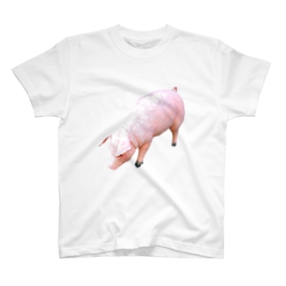 豚 Regular Fit T-Shirt