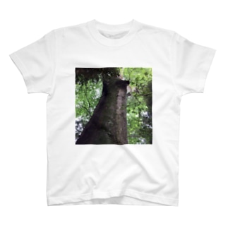 樹の生命力 T-Shirt