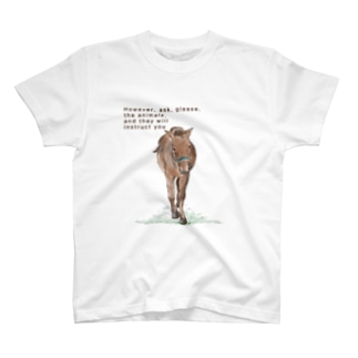 草原の馬 Regular Fit T-Shirt