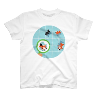金魚金魚金魚金 T-Shirt