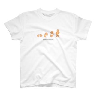 モルモット進化論（水彩） Regular Fit T-Shirt