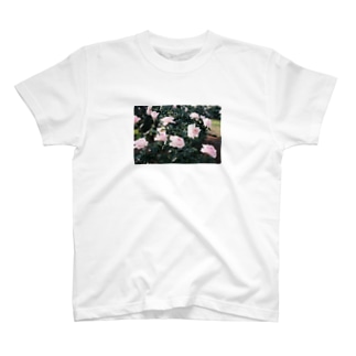 薔薇 Regular Fit T-Shirt