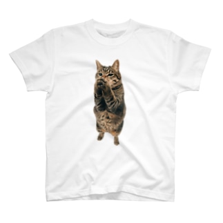 祈るキジトラ猫 Regular Fit T-Shirt
