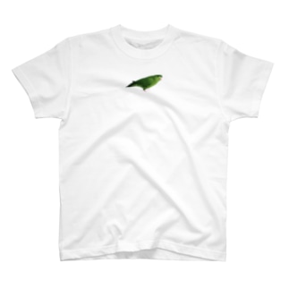 サザナミインコ　グリーン【まめるりはことり】 Regular Fit T-Shirt