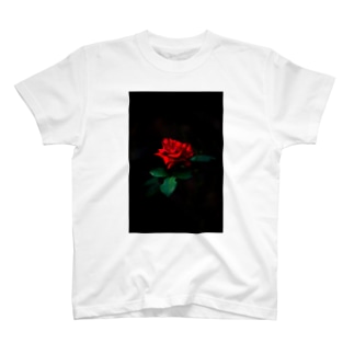 薔薇と孤独 Regular Fit T-Shirt
