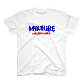 Mixture Regular Fit T-Shirt