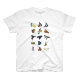 蝶のおもいで Regular Fit T-Shirt