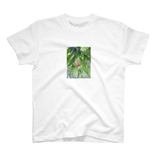 果物_2 Regular Fit T-Shirt