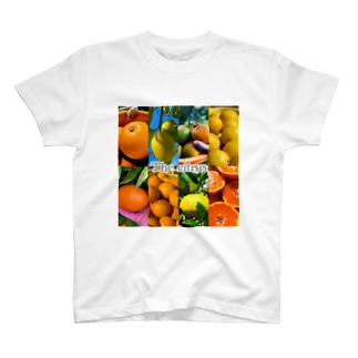 Damon de Farm Collection7 Regular Fit T-Shirt
