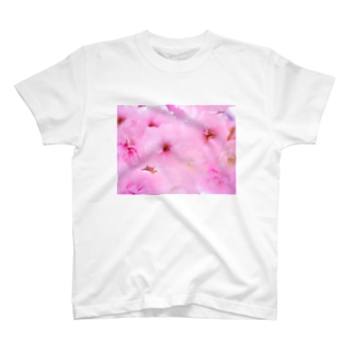 double cherry blossom Regular Fit T-Shirt