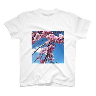 桜！ T-Shirt